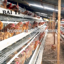 New Design Layer Poultry Cages Used In Ghana Poultry Farms